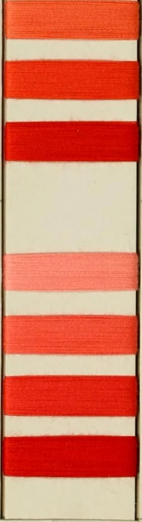 An illustration from Direct colors on cotton, 1900, leaf 35