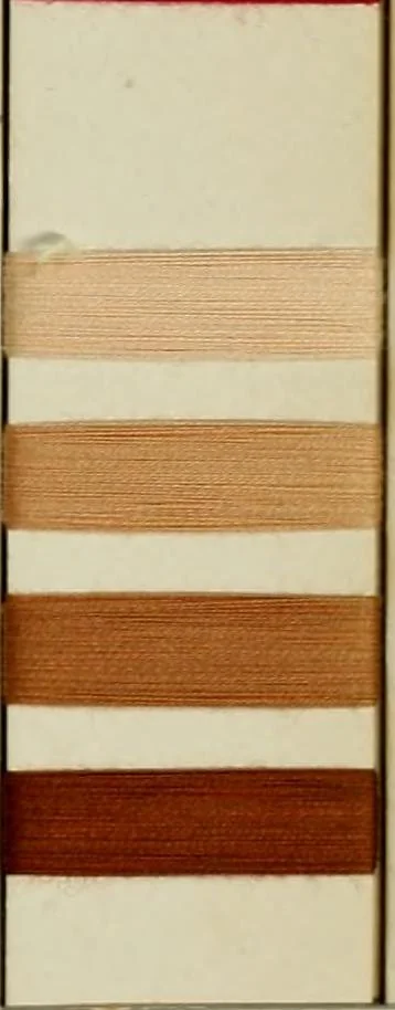 An illustration from Direct colors on cotton, 1900, leaf 38