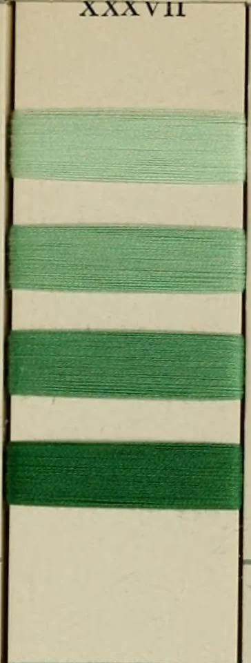 An illustration from Direct colors on cotton, 1900, leaf 54