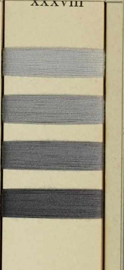 An illustration from Direct colors on cotton, 1900, leaf 54
