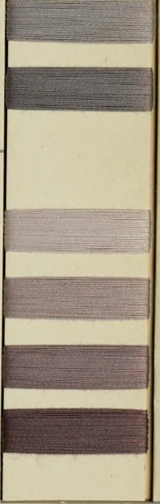 An illustration from Direct colors on cotton, 1900, leaf 54