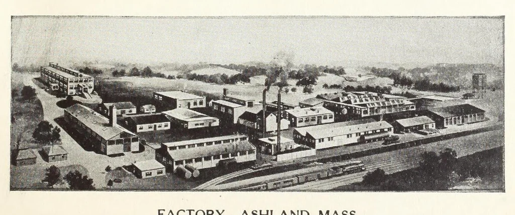 An illustration from Direct colors on cotton, 1920, leaf 5