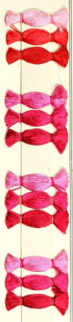 An illustration from Direct colours on viscose, 1900, leaf 15