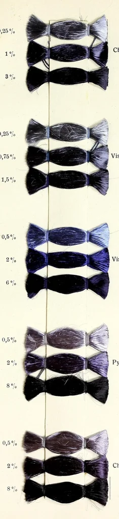 An illustration from Direct colours on viscose, 1900, leaf 31