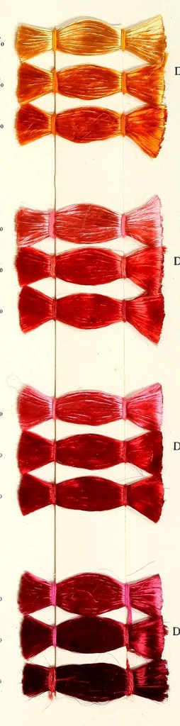 An illustration from Direct colours on viscose, 1900, leaf 35