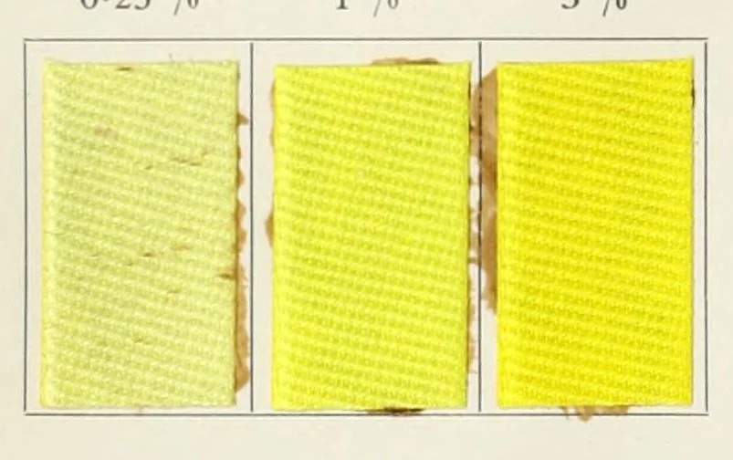 An illustration from Direct dyestuffs, 1900, leaf 14