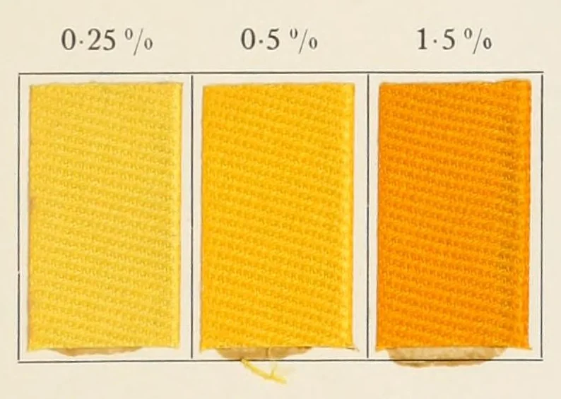 An illustration from Direct dyestuffs, 1900, leaf 21