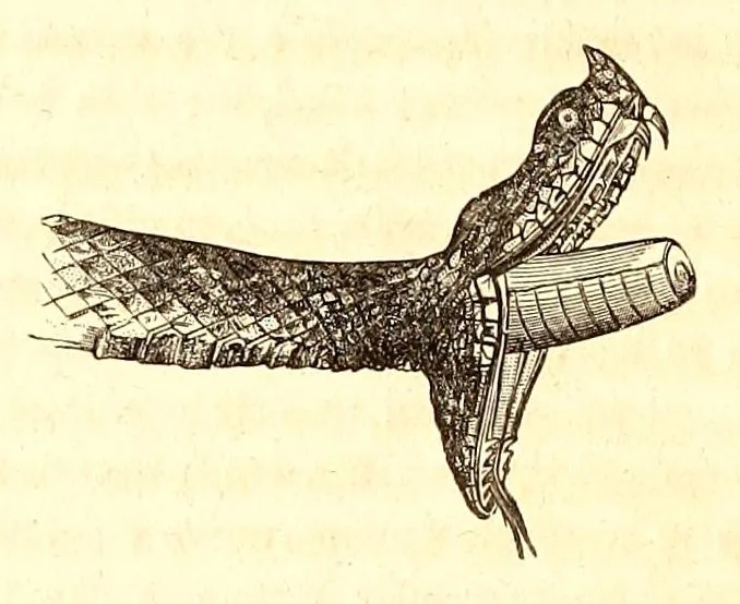 An illustration from Directions for collecting, preserving and transporting specimens of natural history, 1852, leaf 14