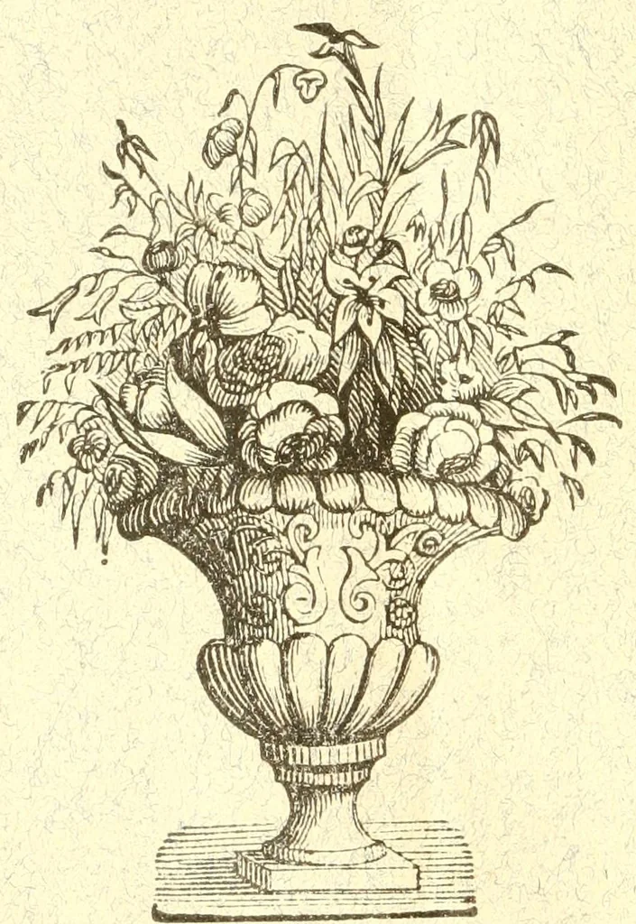 An illustration from Directions for making French raised worsted work, 1880, leaf 24