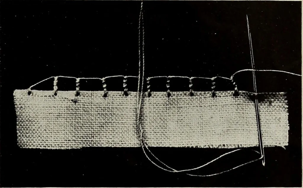 An illustration from Directions for making Poncetto lace, 1917, leaf 12
