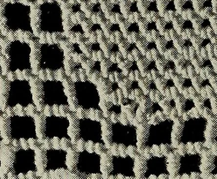 An illustration from Directions for making Poncetto lace, 1917, leaf 21