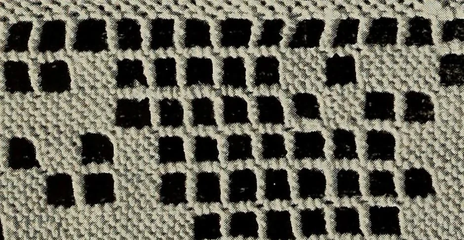 An illustration from Directions for making Poncetto lace, 1917, leaf 21