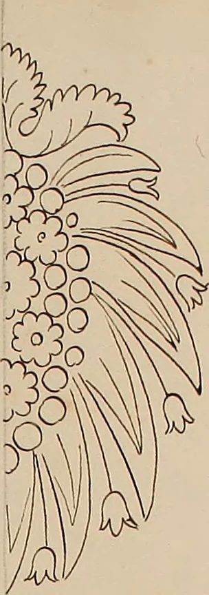 An illustration from Directoire designs for textiles, 1793, leaf 14