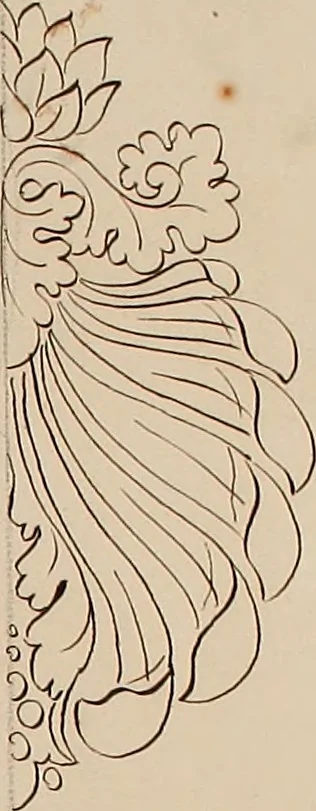 An illustration from Directoire designs for textiles, 1793, leaf 14