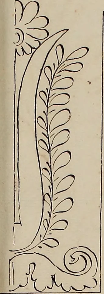 An illustration from Directoire designs for textiles, 1793, leaf 16