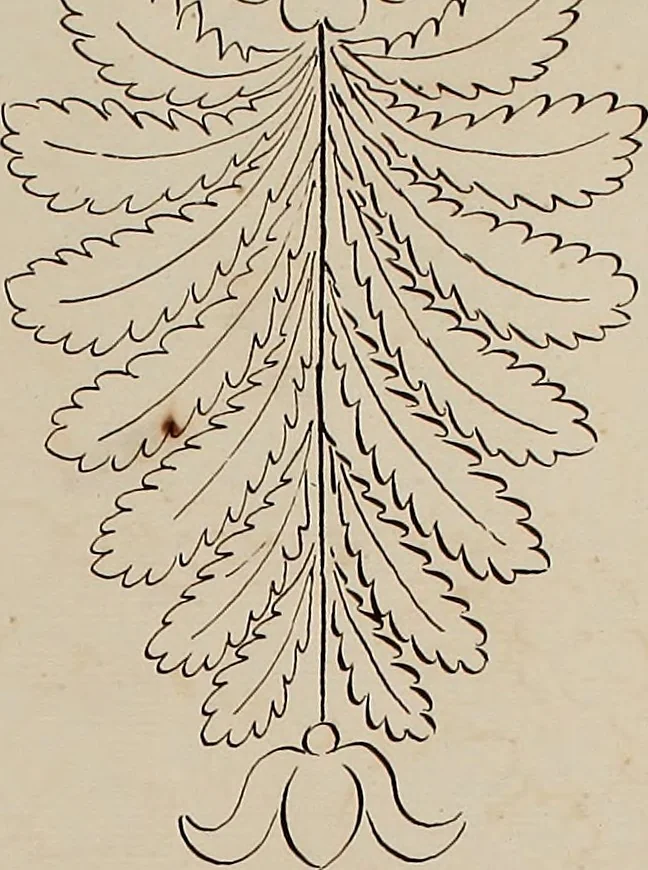 An illustration from Directoire designs for textiles, 1793, leaf 16