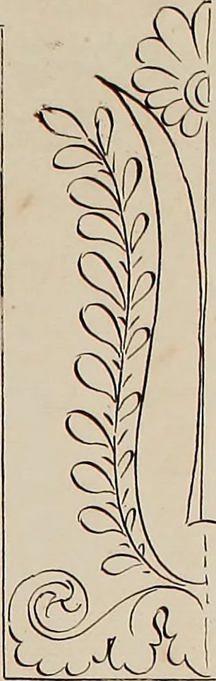 An illustration from Directoire designs for textiles, 1793, leaf 16