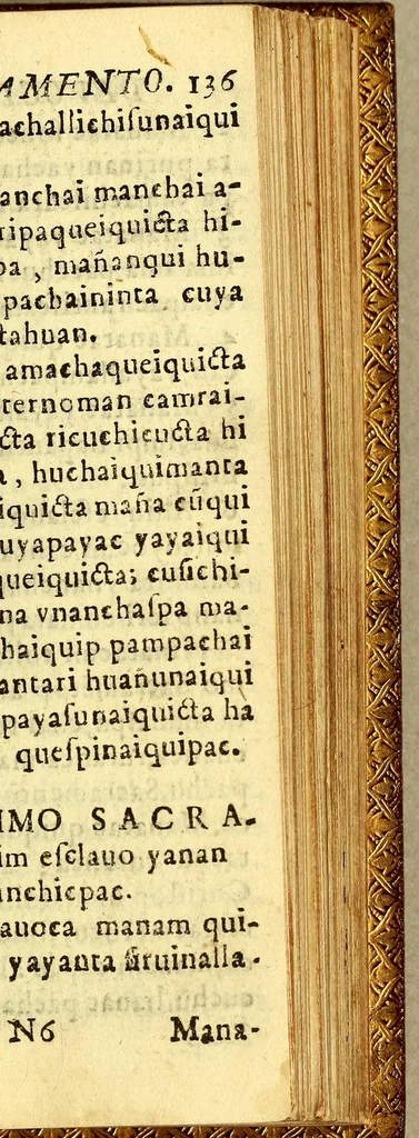 An illustration from Directorio espiritual en la lengua española, y quichua general del inga., 1650, leaf 307