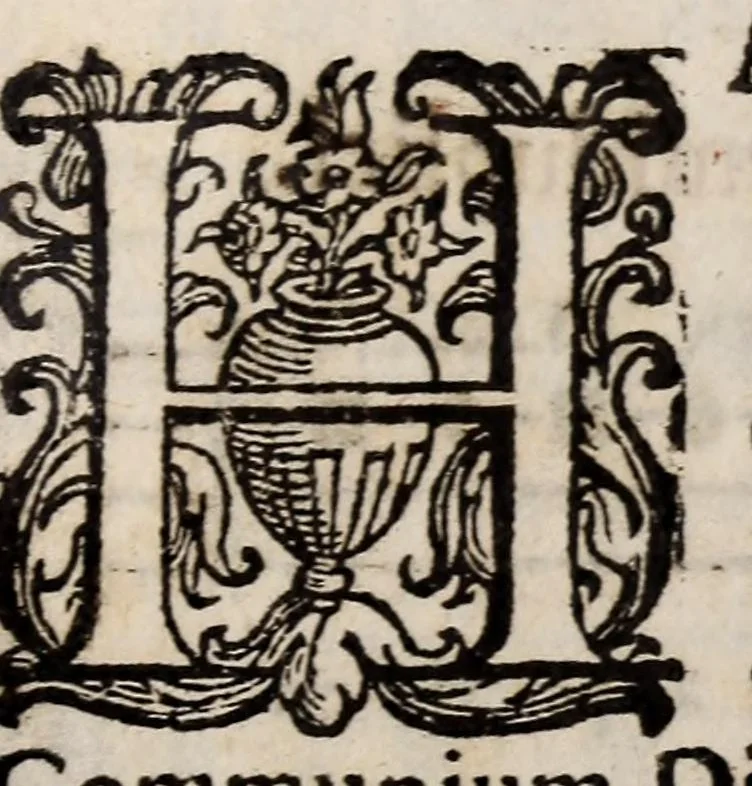 An illustration from Directorium chori : ad usum omnium ecclesiarum, tam cathedralium, quam collegiatarum, nuper restitutum, & nunc secundo in lucem editum, 1589, leaf 501