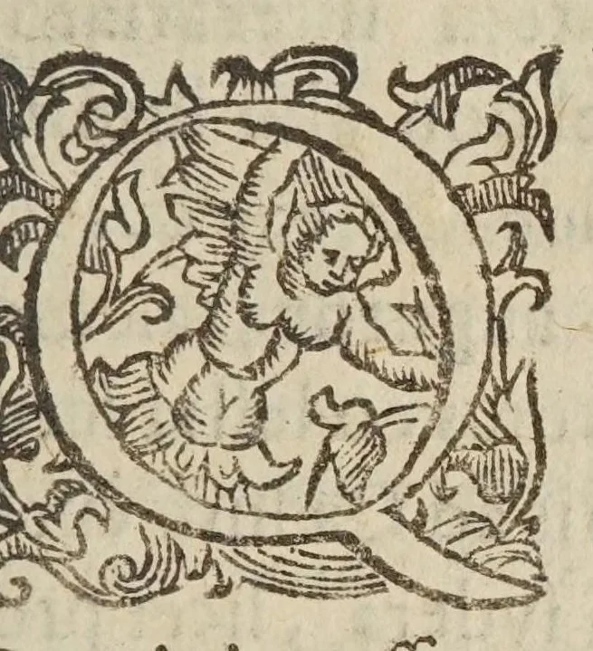 An illustration from Directorivm generale vranometricvm : in quo trigonometriae logarithmicae fvndamenta, ac regulae demonstrantur, astronomicaeq[ue] supputationes ad solam ferè vulgarem additionem reducuntur : opus vtilissimum astronomis, geometris, arithmeticis, perspectiuis, architectis, praecipuè militaribus, mechanicis, geographis, nec non ipsis philosophis naturalibus, 1632, leaf 7