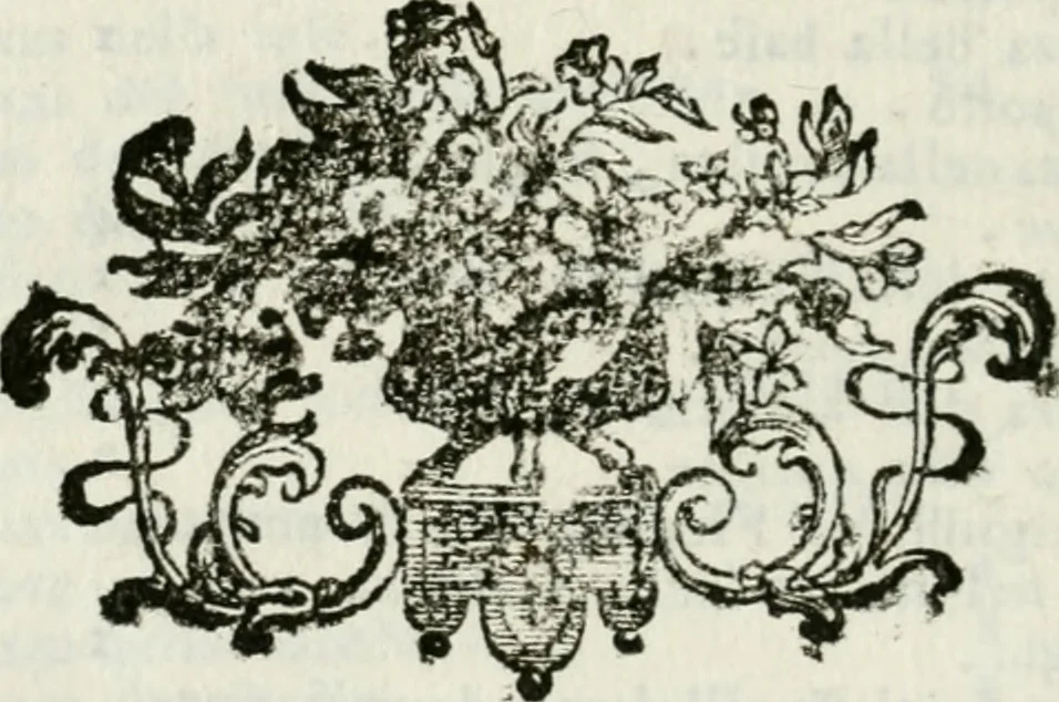 An illustration from Direzioni a' giovani studenti nel disegno dell'architettura civile, nell'Accademia Clementina dell'Instituto della scienze, 1753, leaf 249