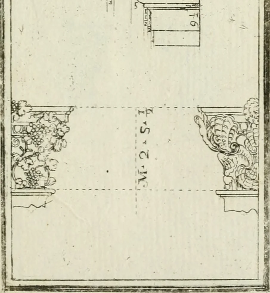 An illustration from Direzioni a' giovani studenti nel disegno dell'architettura civile, nell'Accademia Clementina dell'Instituto della scienze, 1753, leaf 304
