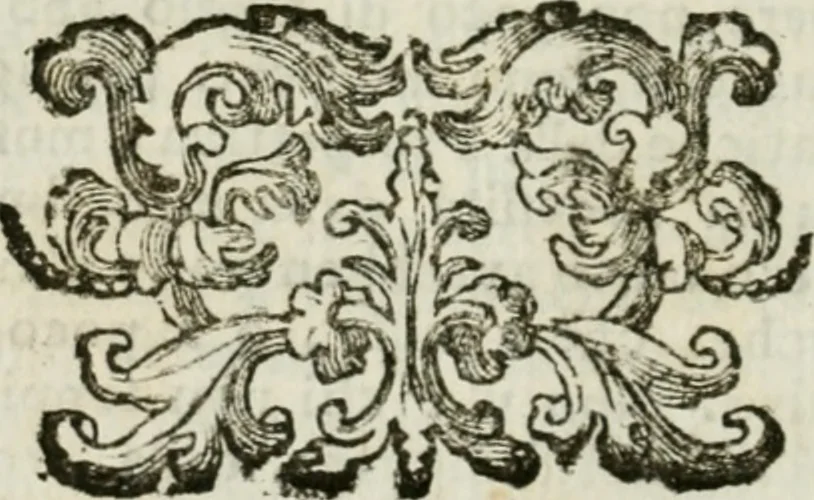 An illustration from Direzioni a' giovani studenti nel disegno dell'architettura civile, nell'Accademia Clementina dell'Instituto della scienze, 1753, leaf 15