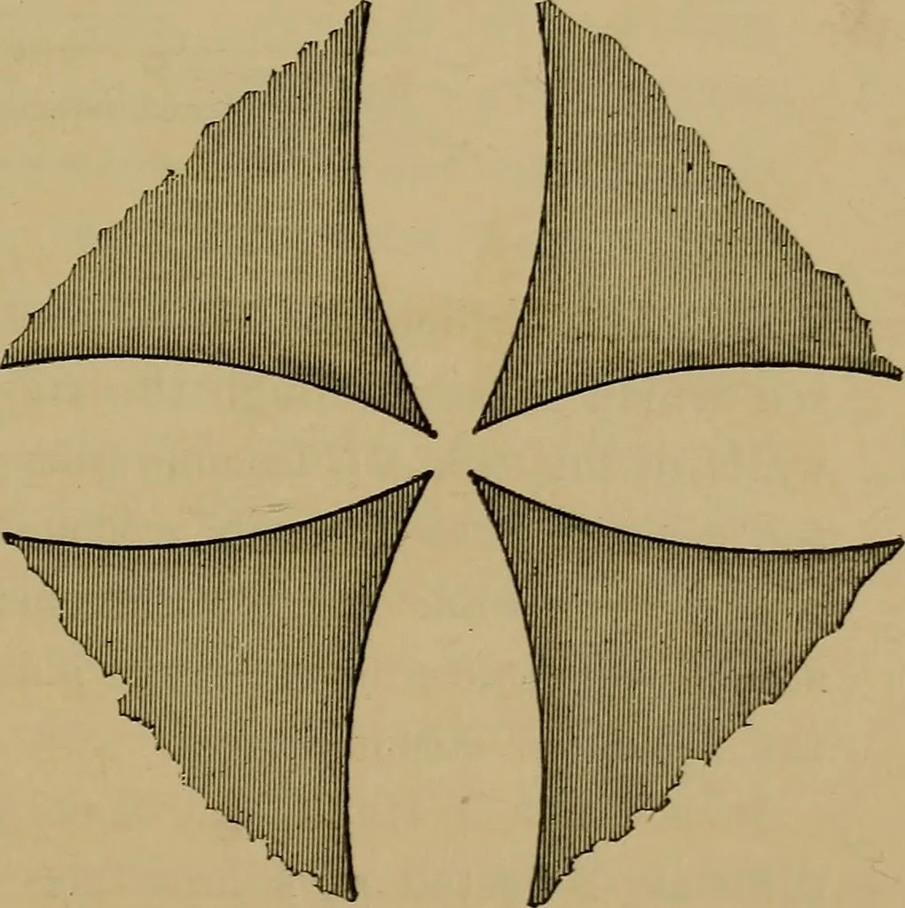 An illustration from The discharge of electricity through gases : lectures delivered on the occasion of the sesquicentennial of Princeton University, 1898, leaf 195