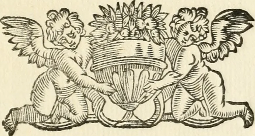 An illustration from Discordia svperata : torneo combattuto in Ferrara in carneuale del anno 1635, 1635, leaf 32