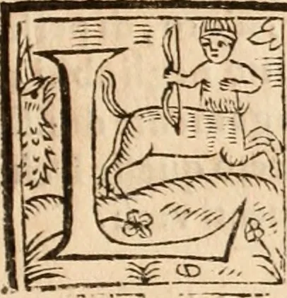 An illustration from Discordia svperata : torneo combattuto in Ferrara in carneuale del anno 1635, 1635, leaf 48