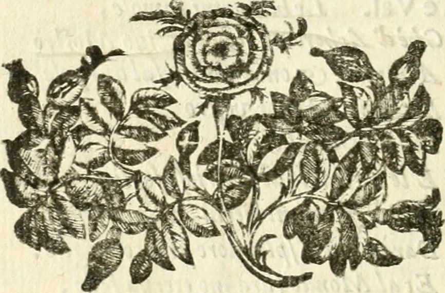 An illustration from Discordia svperata : torneo combattuto in Ferrara in carneuale del anno 1635, 1635, leaf 97