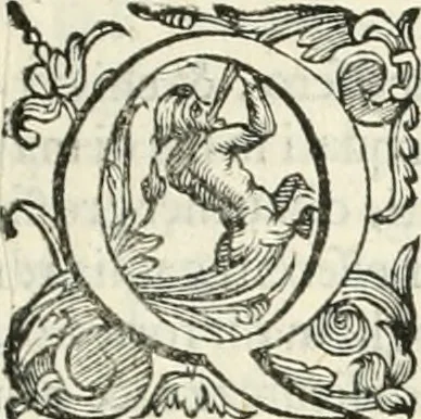 An illustration from Discorsi delle fortificationi, espugnationi, & difese delle città & d'altri luoghi, 1588, leaf 108