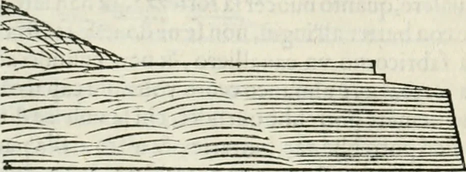 An illustration from Discorsi delle fortificationi, espugnationi, & difese delle città & d'altri luoghi, 1588, leaf 113