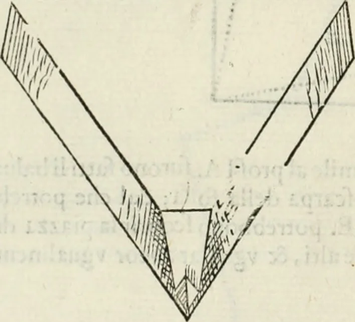 An illustration from Discorsi delle fortificationi, espugnationi, & difese delle città & d'altri luoghi, 1588, leaf 125
