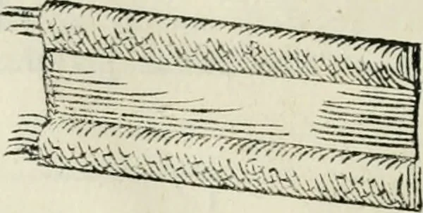 An illustration from Discorsi delle fortificationi, espugnationi, & difese delle città & d'altri luoghi, 1588, leaf 201