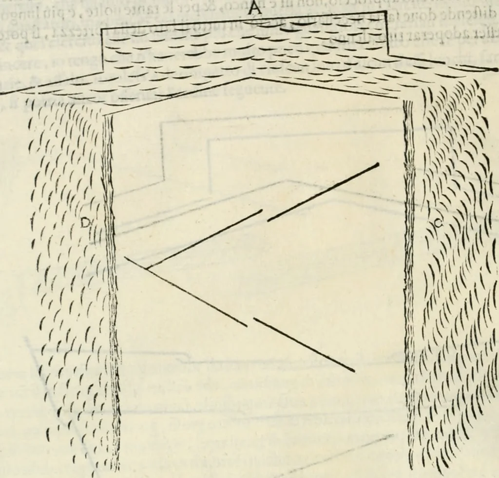 An illustration from Discorsi delle fortificationi, espugnationi, & difese delle città & d'altri luoghi, 1588, leaf 205