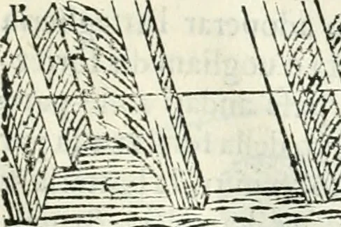 An illustration from Discorsi delle fortificationi, espugnationi, & difese delle città & d'altri luoghi, 1588, leaf 216