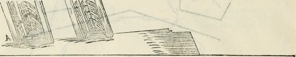An illustration from Discorsi delle fortificationi, espugnationi, & difese delle città & d'altri luoghi, 1588, leaf 217