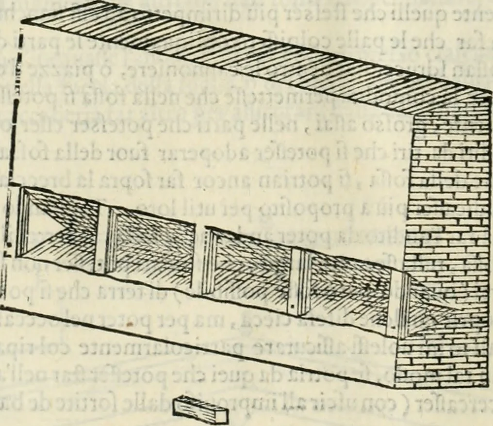 An illustration from Discorsi delle fortificationi, espugnationi, & difese delle città & d'altri luoghi, 1588, leaf 221