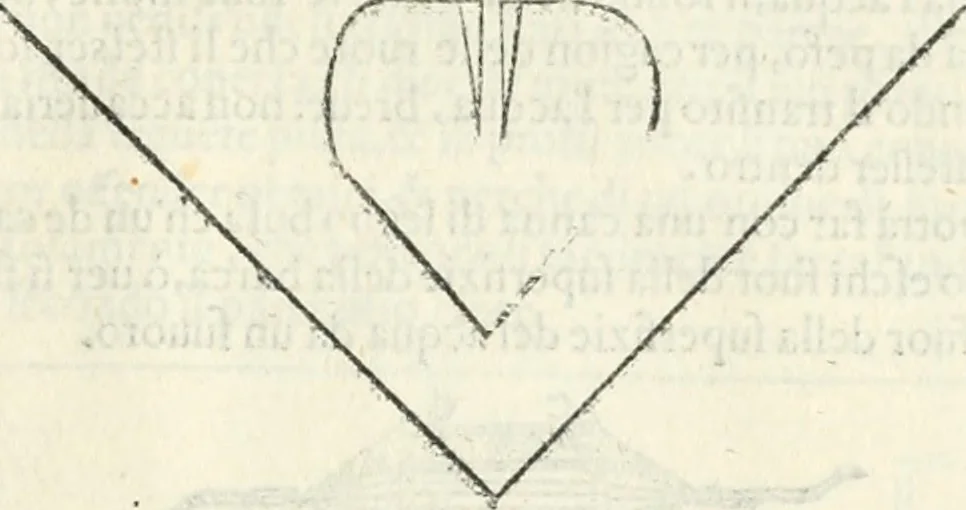 An illustration from Discorsi delle fortificationi, espugnationi, & difese delle città & d'altri luoghi, 1588, leaf 246