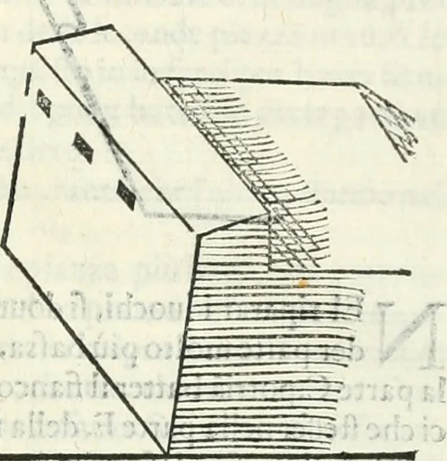 An illustration from Discorsi delle fortificationi, espugnationi, & difese delle città & d'altri luoghi, 1588, leaf 250