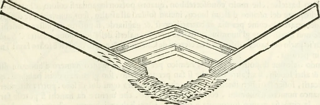 An illustration from Discorsi delle fortificationi, espugnationi, & difese delle città & d'altri luoghi, 1588, leaf 256