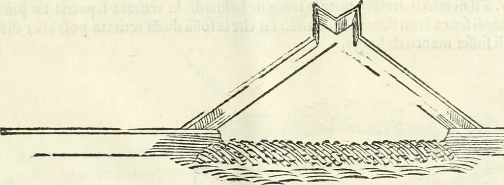 An illustration from Discorsi delle fortificationi, espugnationi, & difese delle città & d'altri luoghi, 1588, leaf 256