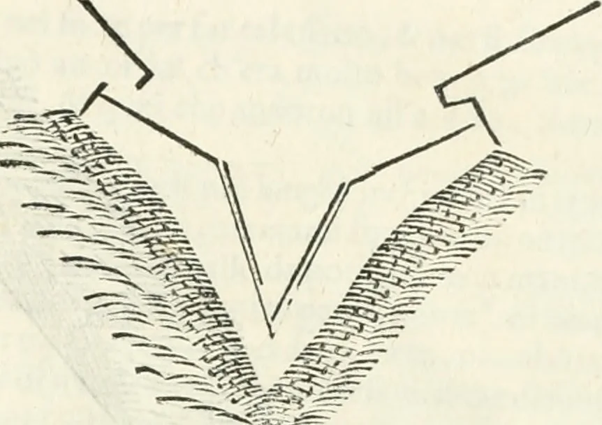 An illustration from Discorsi delle fortificationi, espugnationi, & difese delle città & d'altri luoghi, 1588, leaf 258