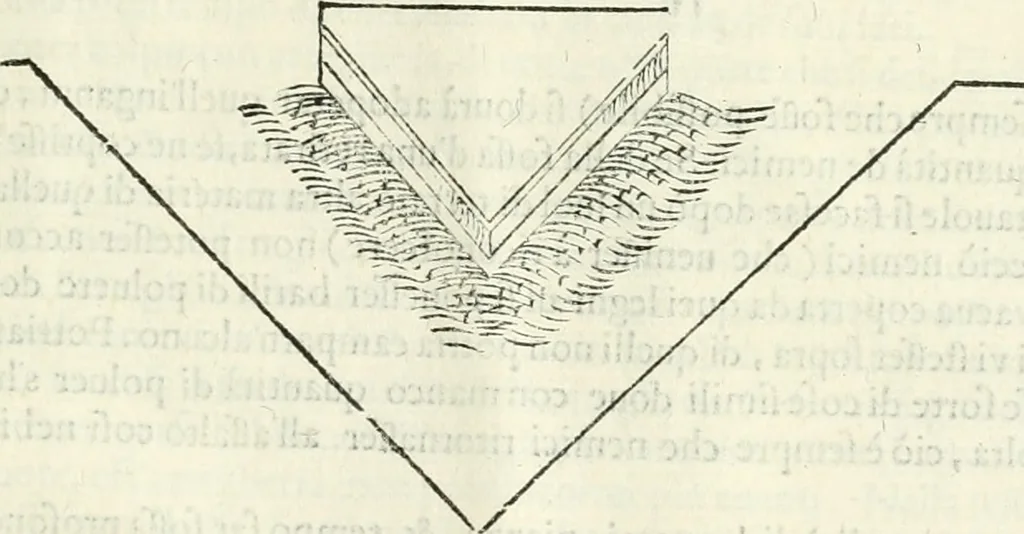 An illustration from Discorsi delle fortificationi, espugnationi, & difese delle città & d'altri luoghi, 1588, leaf 258