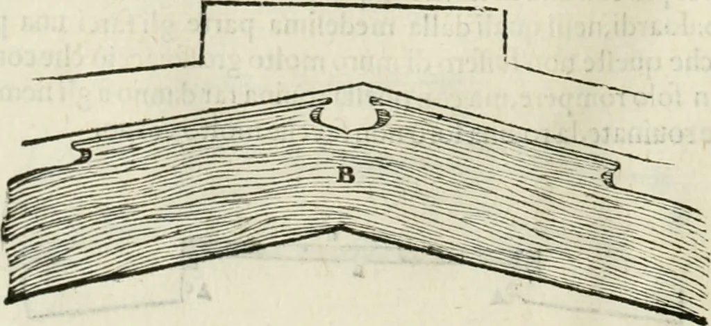 An illustration from Discorsi delle fortificationi, espugnationi, & difese delle città & d'altri luoghi, 1588, leaf 31