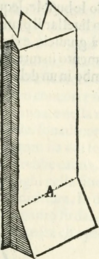 An illustration from Discorsi delle fortificationi, espugnationi, & difese delle città & d'altri luoghi, 1588, leaf 50