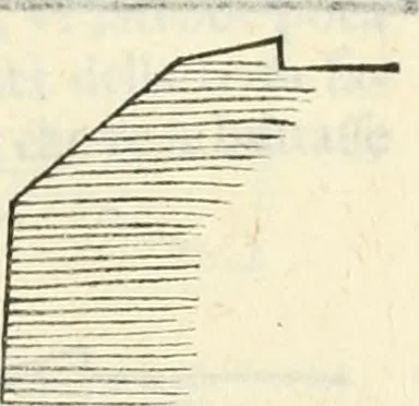 An illustration from Discorsi delle fortificationi, espugnationi, & difese delle città & d'altri luoghi, 1588, leaf 84