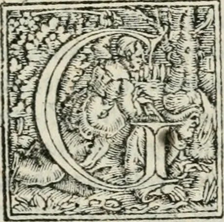 An illustration from Discorsi delli triomfi, giostre, apparati,é delle cose piu notabile fatte nelle sontuose nozze, dell' illustrissimo & eccellentissimo signor duca Guglielmo ... : compartiti in tre libri, con vno dialogo, della antichita del felice ceppo di Bauiera, 1568, leaf 82