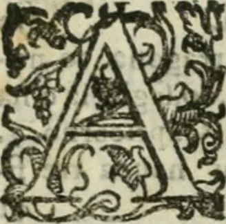 An illustration from Discorsi del S. Don Antonio Agostini sopra le medaglie et altre anticaglie divisi in XI dialoghi : tradotti dalla lingua spagnuola nell'italiana con l'aggiunta di molti ritratti di belle, et rare medaglie .., 1592, leaf 312